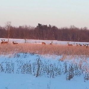 Meet your Posher, Hector